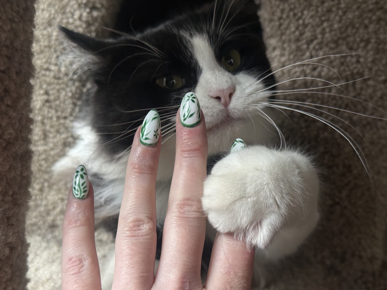 Av's Nails & Spa Salon nail photo 4